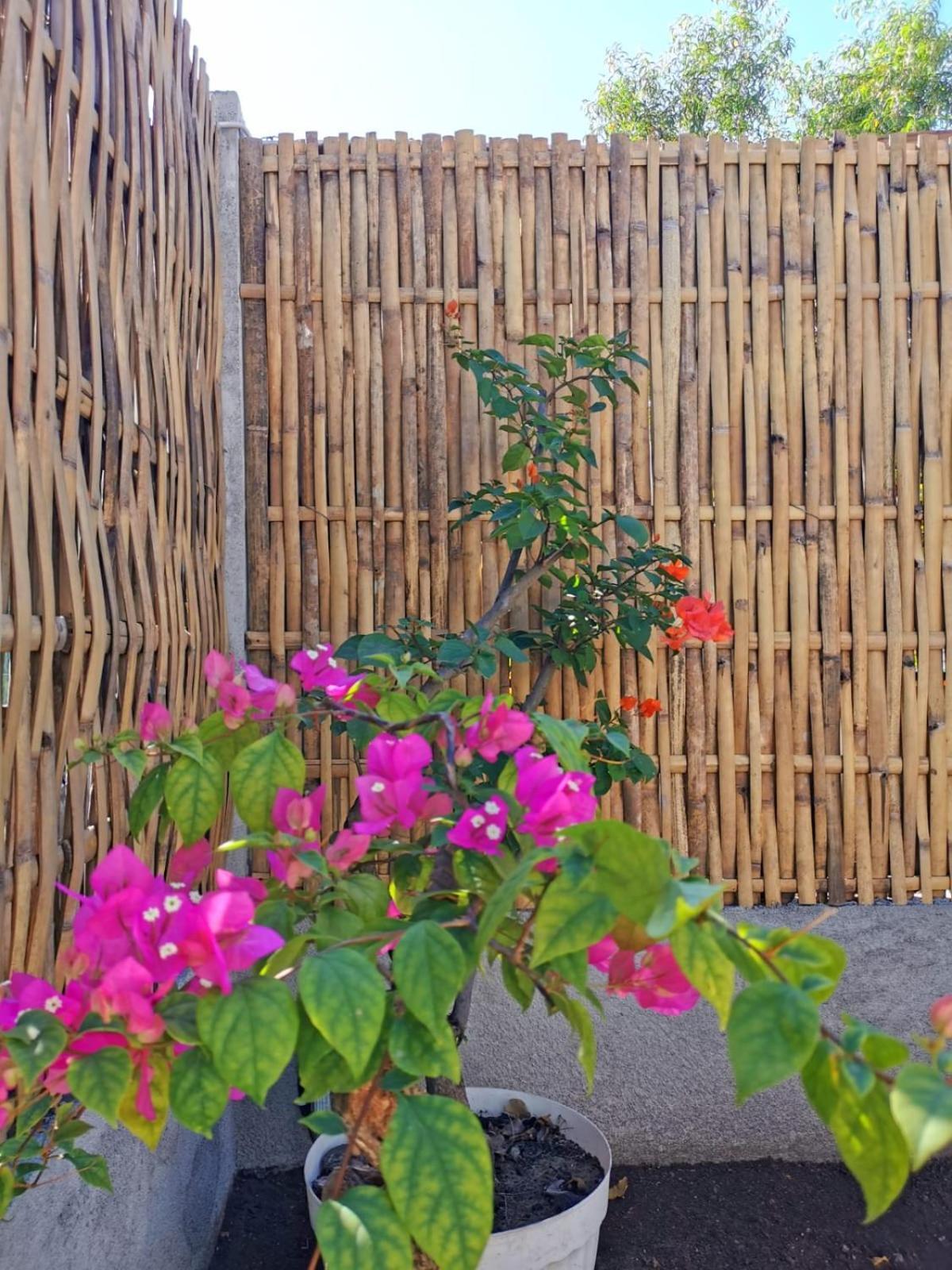 فيلا Exotic House غيلي مينو المظهر الخارجي الصورة