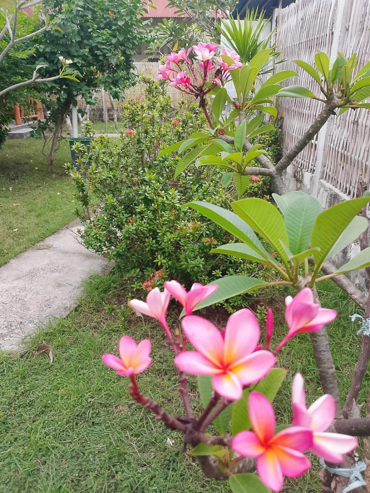 فيلا Exotic House غيلي مينو الغرفة الصورة